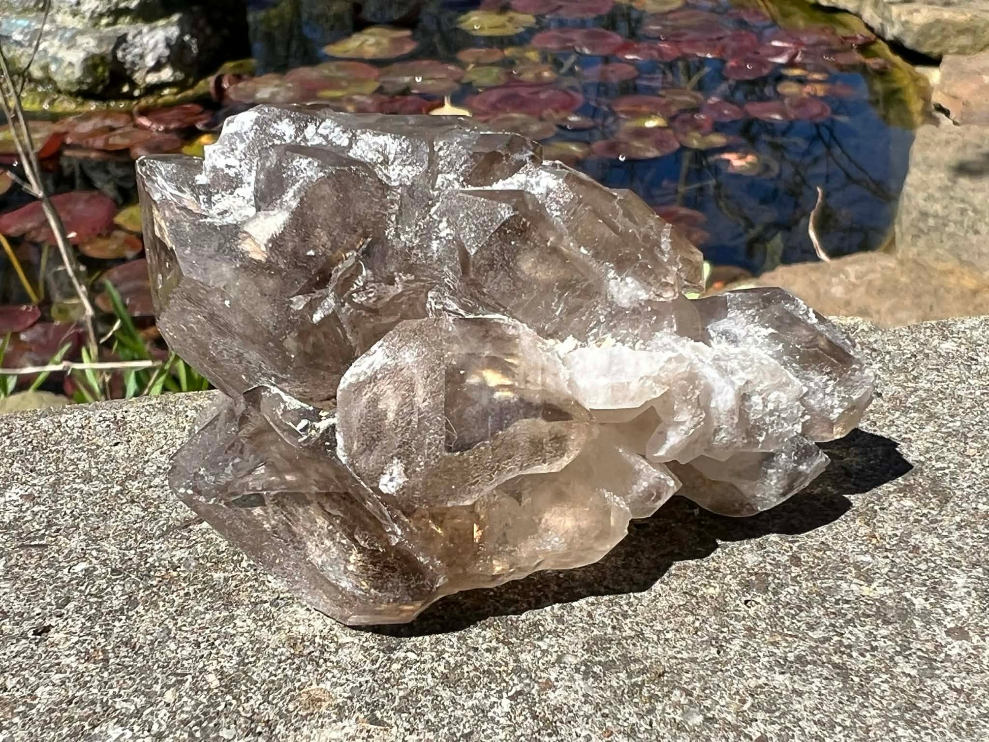 Smoky Elestial Quartz Specimen #9 - Gem Realm 
