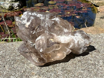 Smoky Elestial Quartz Specimen #9 - Gem Realm 