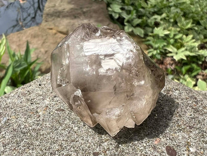 Smoky Elestial Quartz Specimen #13 - Gem Realm 