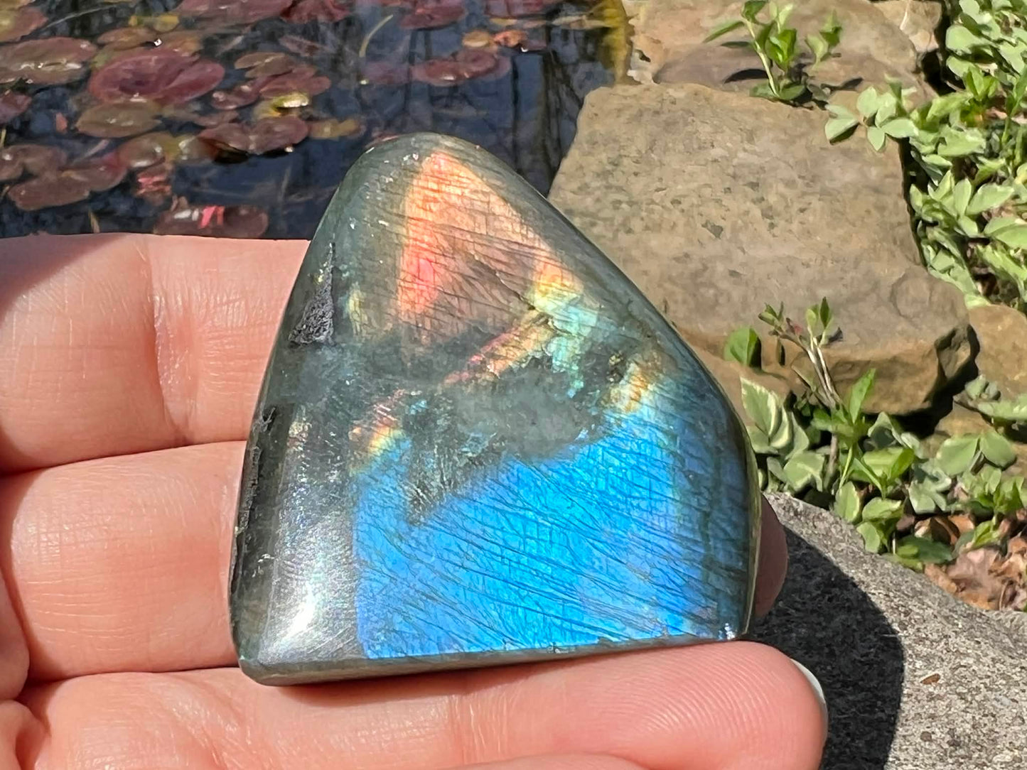 Labradorite Freeform - Mini - Gem Realm 