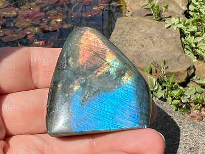 Labradorite Freeform - Mini - Gem Realm 