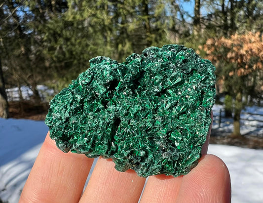 Silk Malachite Specimen #23 - Gem Realm 
