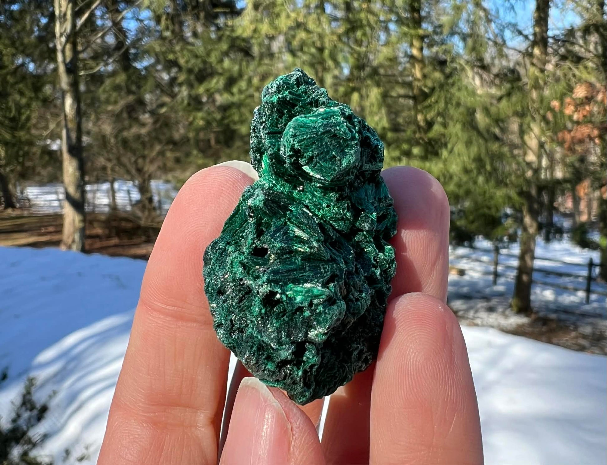 Silk Malachite Specimen #18 - Gem Realm 