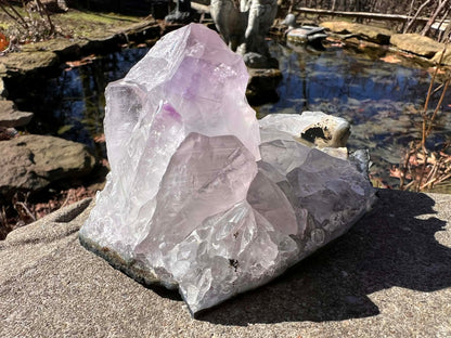 Amethyst Cluster Specimen ~ Brazil