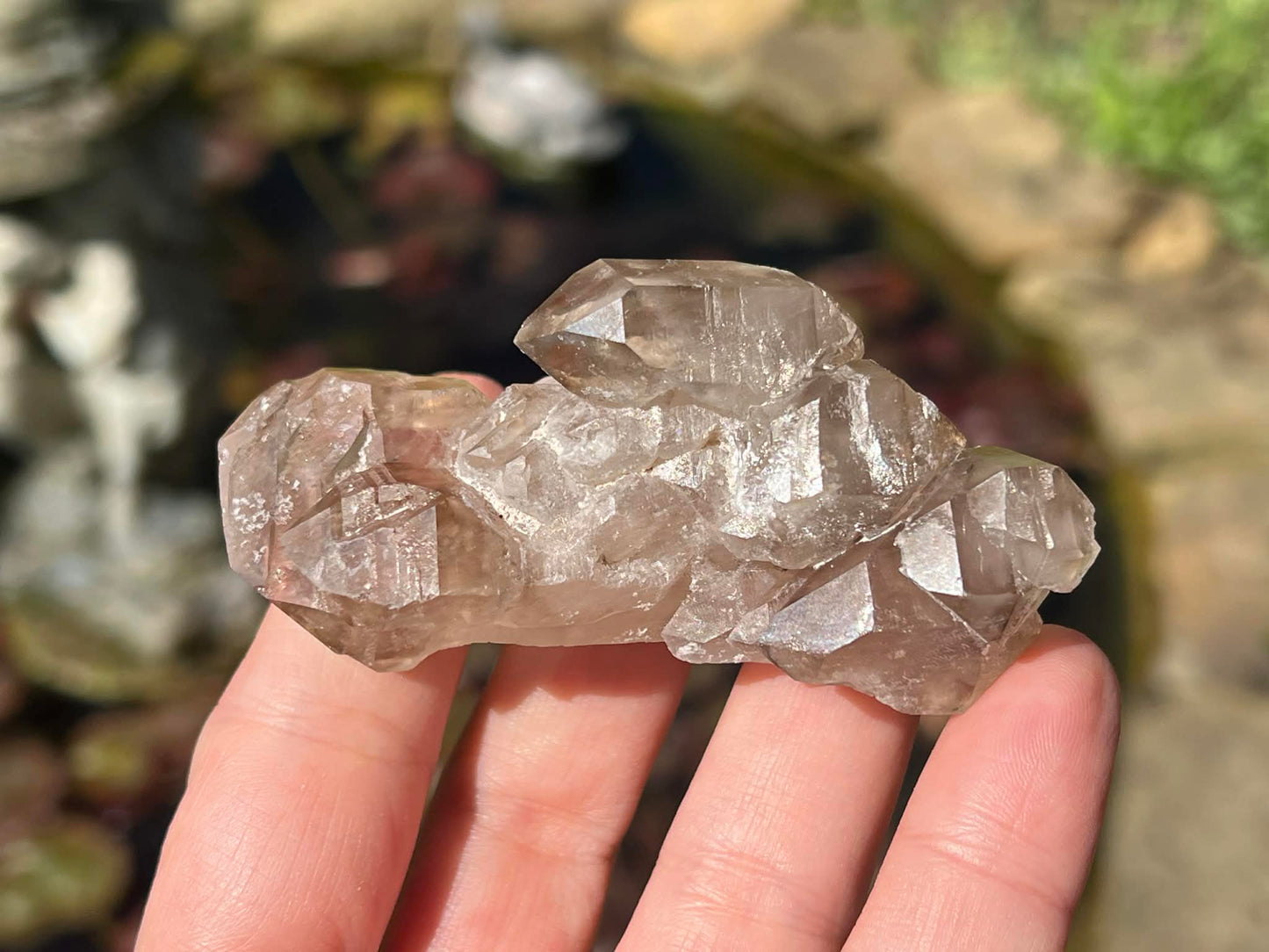 Smoky Elestial Quartz Specimen #7 - Gem Realm 
