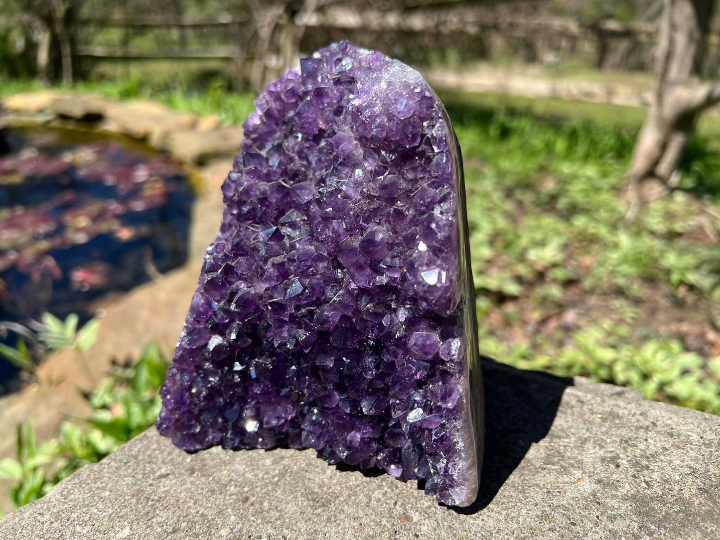 Amethyst Geode - Gem Realm 
