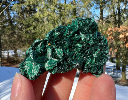 Silk Malachite Specimen #19 - Gem Realm 