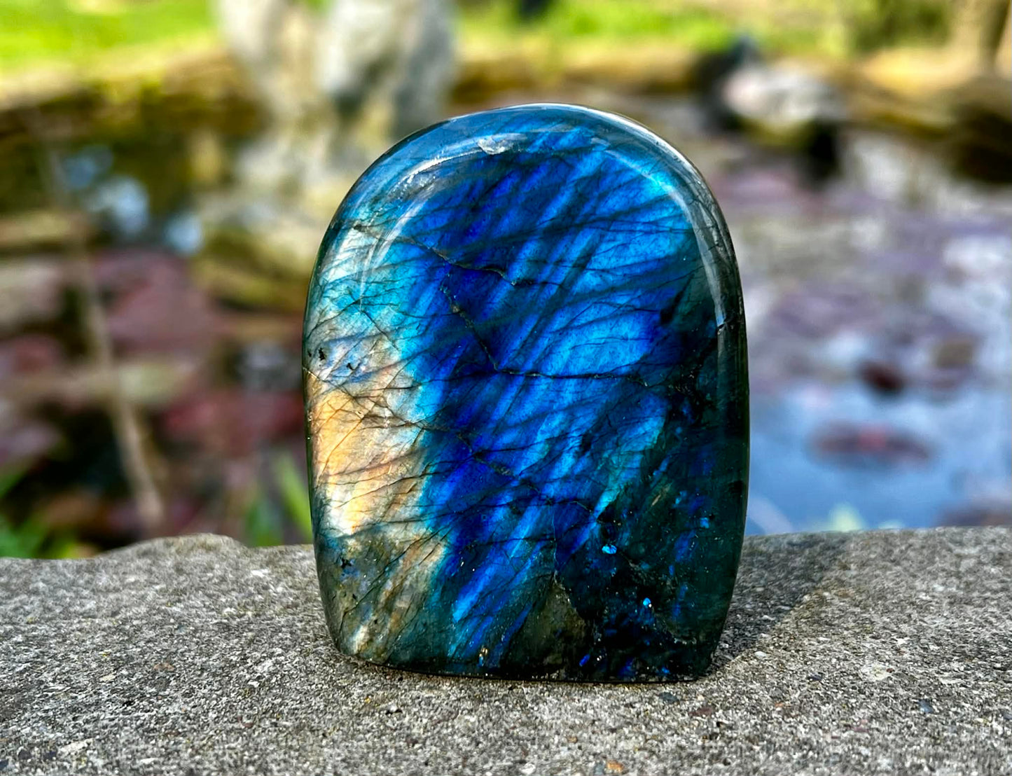 Labradorite Freeform - Gem Realm 