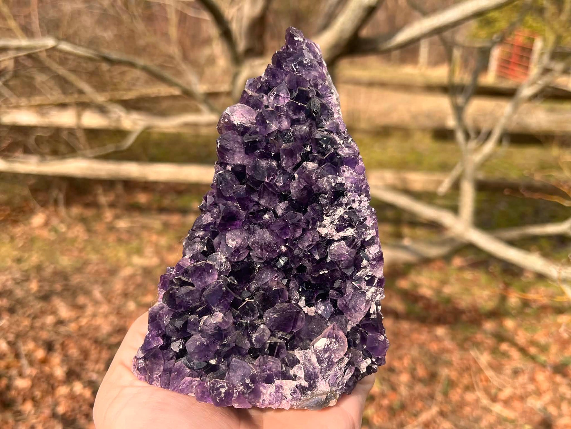 Amethyst Geode - Gem Realm 