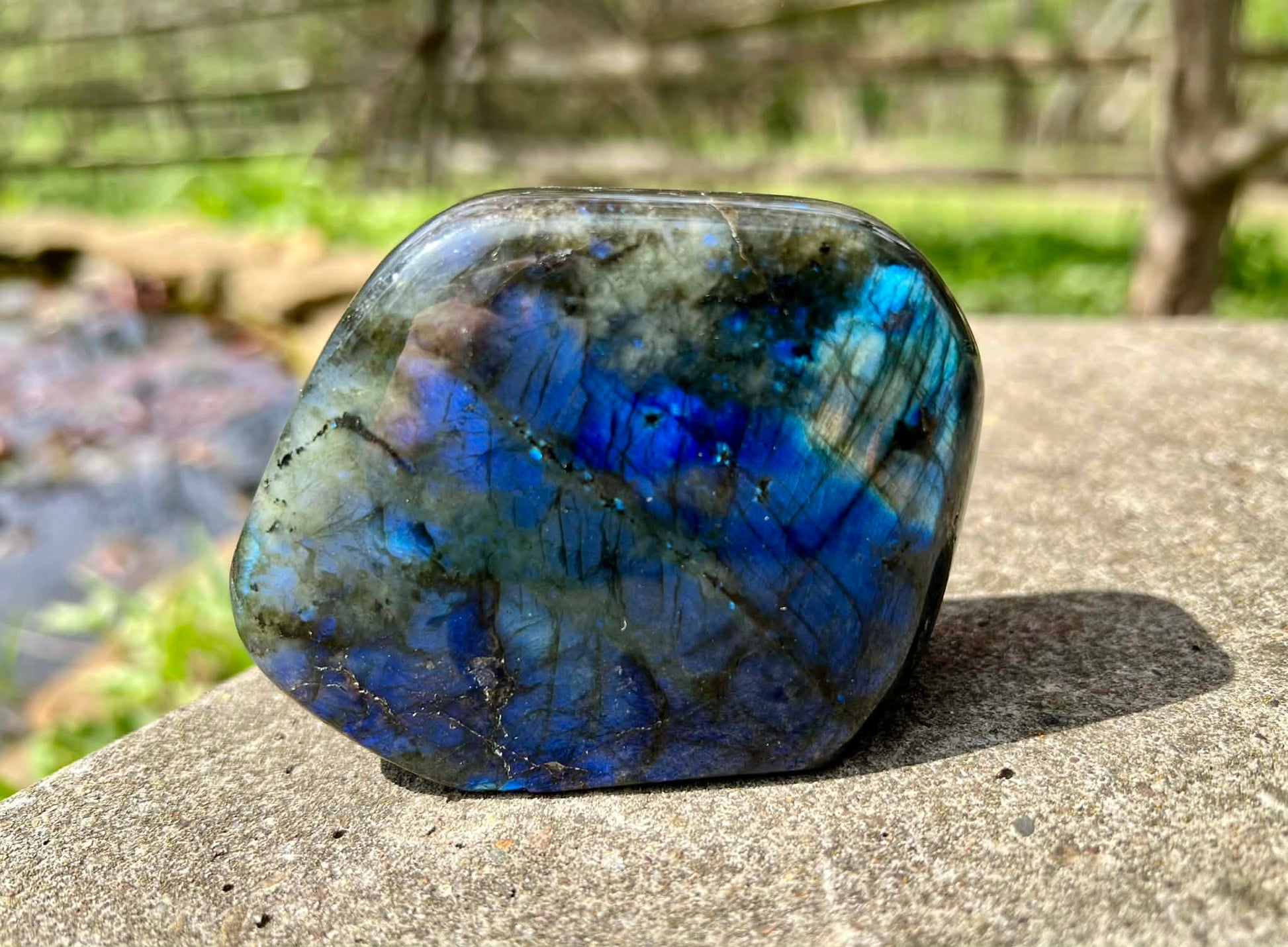 Labradorite Freeform - Gem Realm 
