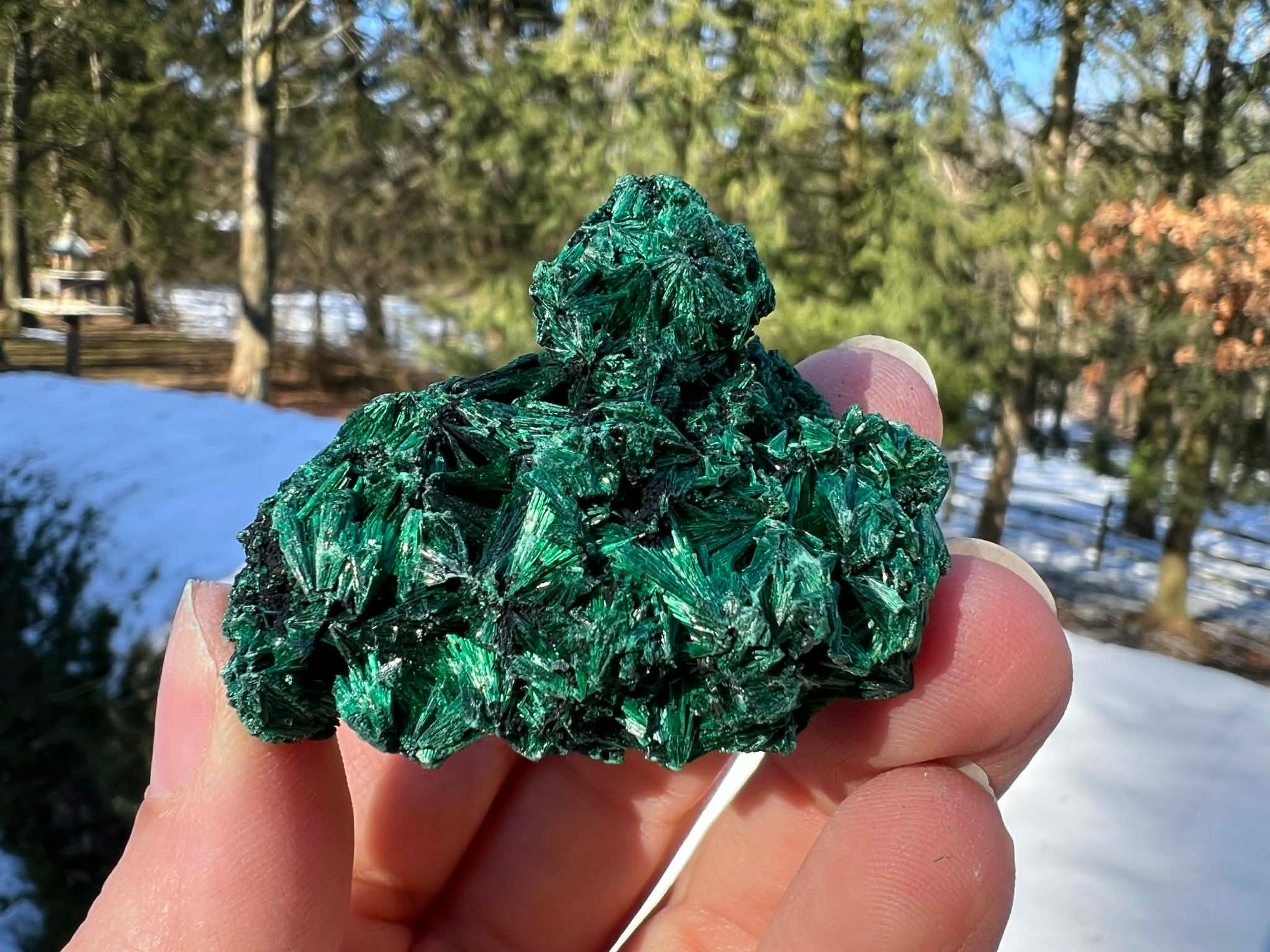 Silk Malachite Specimen #20 - Gem Realm 
