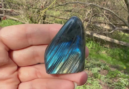Labradorite Freeform - Mini