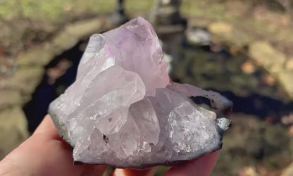 Amethyst Cluster Specimen ~ Brazil