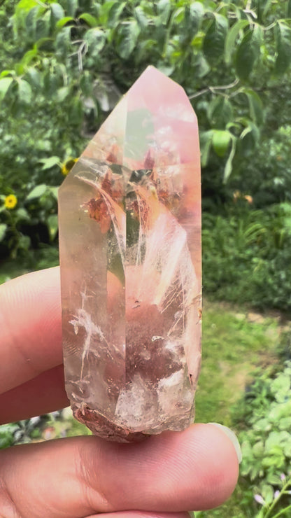 Amphibole Quartz Point