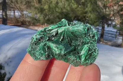 Silk Malachite Specimen #6
