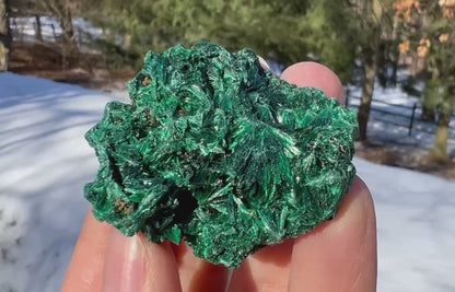 Silk Malachite Specimen #16