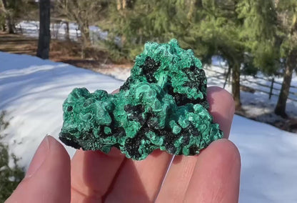 Silk Malachite Specimen #9