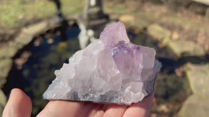 Amethyst Cluster Specimen ~ Brazil