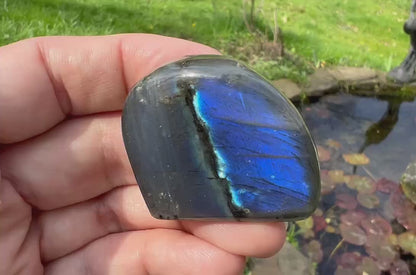 Labradorite Freeform - Mini