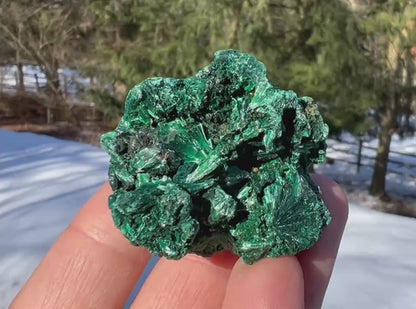 Silk Malachite Specimen #15