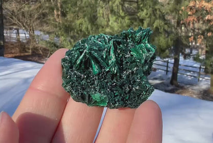 Silk Malachite Specimen #7