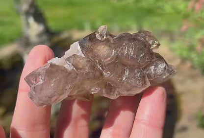 Smoky Elestial Quartz Specimen #8