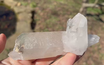 Quartz Crystal Specimen ~ with Chlorite
