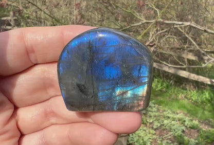 Labradorite Freeform - Mini