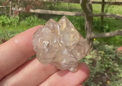 Smoky Elestial Quartz Specimen #12