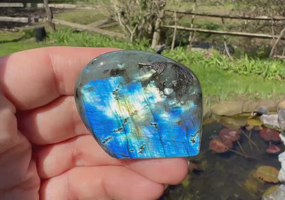 Labradorite Freeform - Mini
