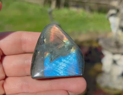 Labradorite Freeform - Mini