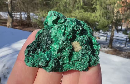 Silk Malachite Specimen #22