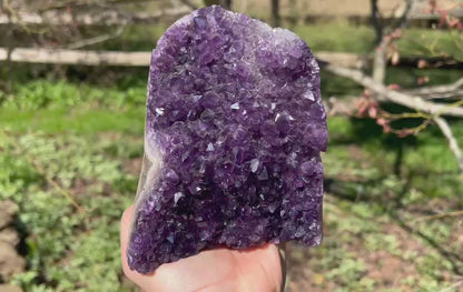 Amethyst Geode ~ Brazil