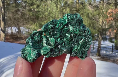 Silk Malachite Specimen #19