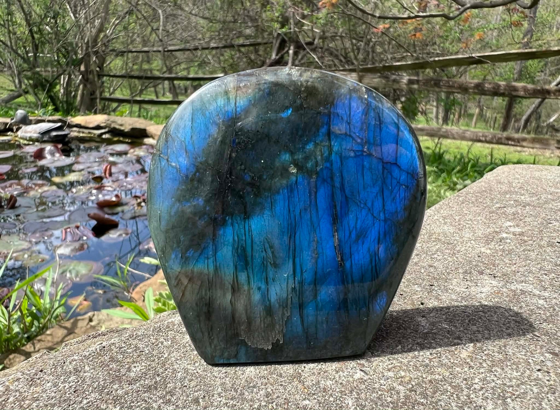 Labradorite Freeform - Gem Realm 