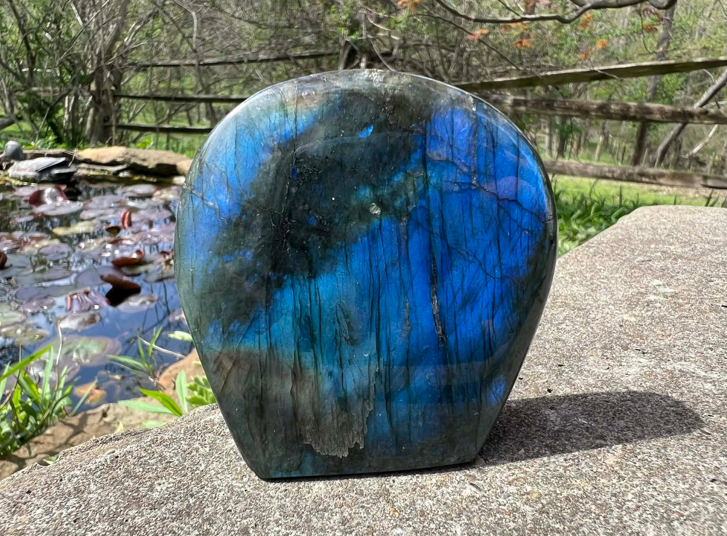 Labradorite Freeform - Gem Realm 