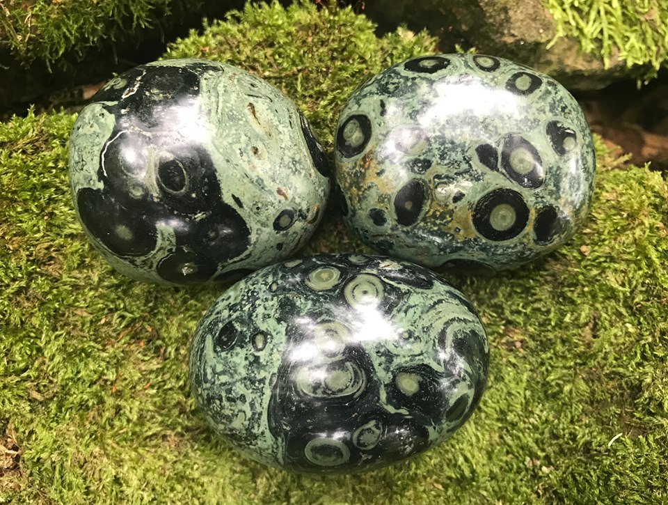 Kambaba Jasper Palm Stones - Gem Realm 