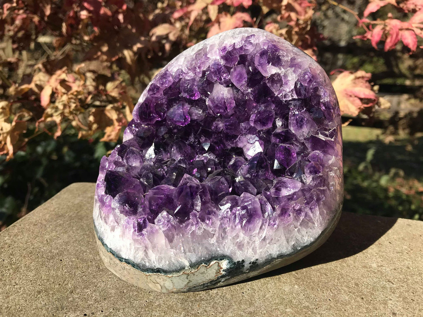 Amethyst Geode ~ AAA Grade - Gem Realm 