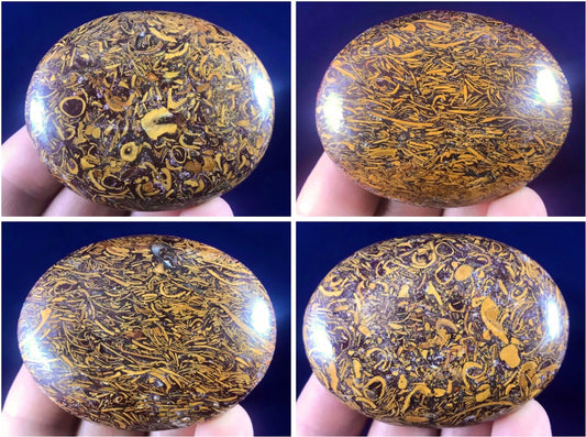 Calligraphy Stone ~ Palm Stone - Gem Realm 