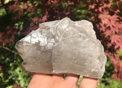 Smoky Elestial Quartz Crystal Specimen ~ Large