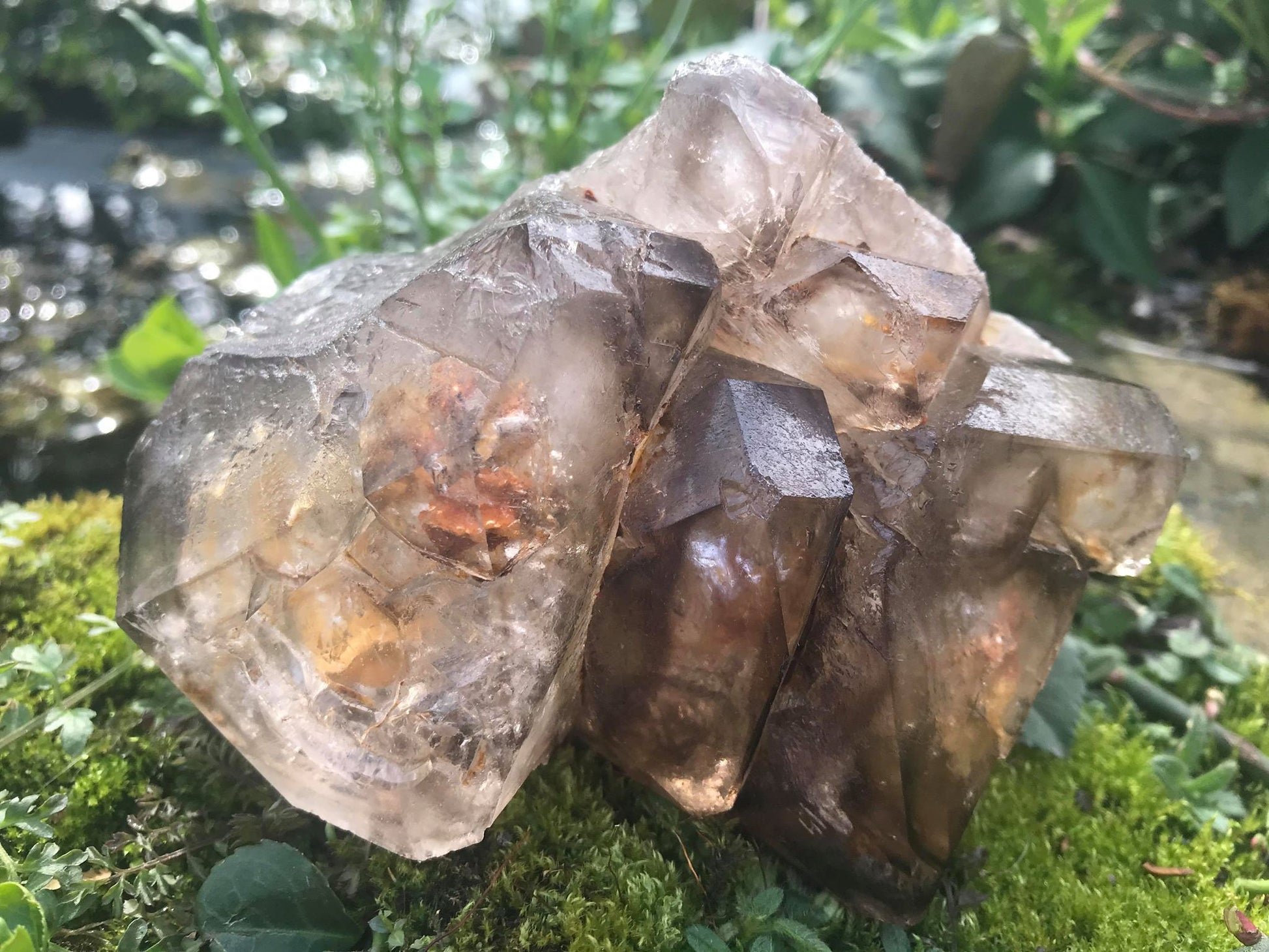 Smoky Elestial Quartz Cluster Specimen ~ Large - Gem Realm 