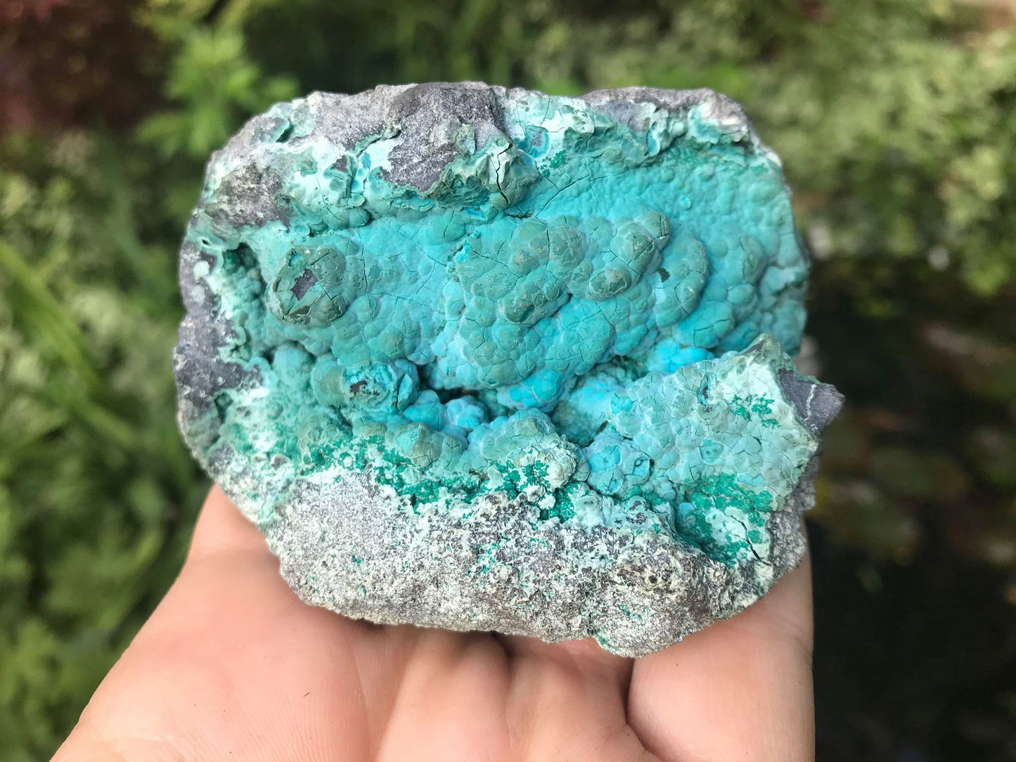 Chrysocolla Specimen - Gem Realm 