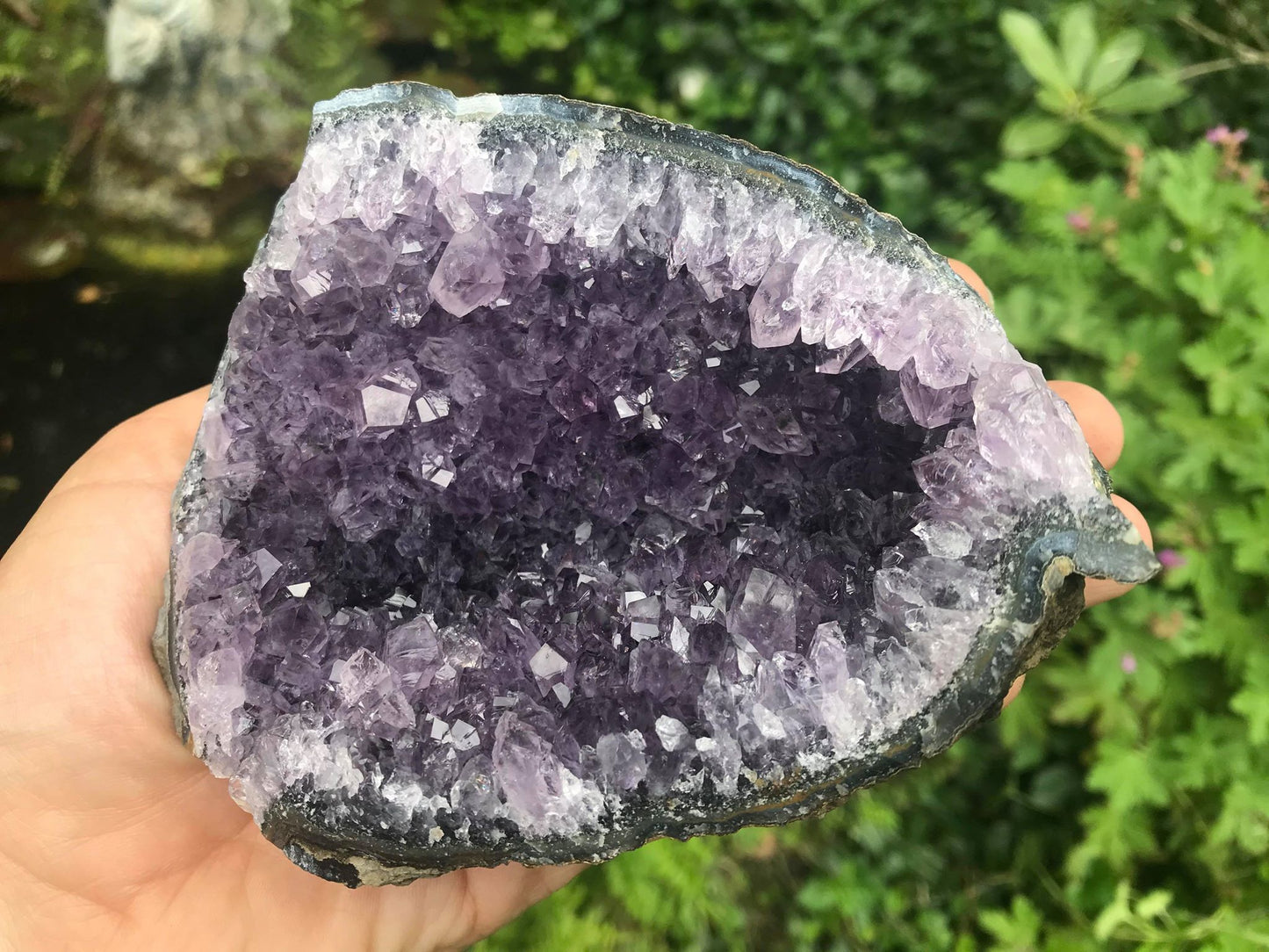 Amethyst Geode ~ Uruguay - Gem Realm 