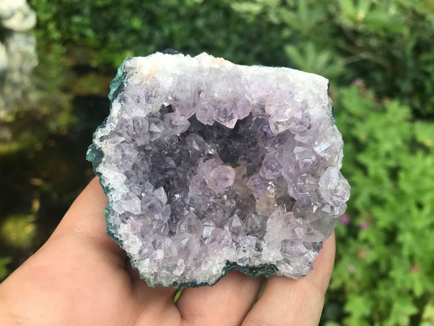 Amethyst Geode ~ Uruguay - Gem Realm 