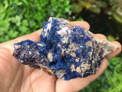 Azurite Specimen - Gem Realm 