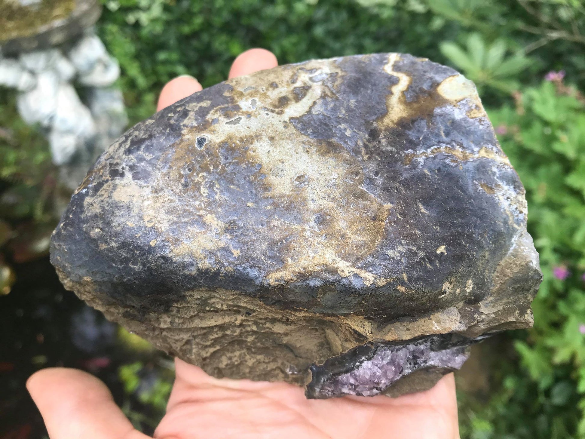 Amethyst Geode ~ Uruguay - Gem Realm 
