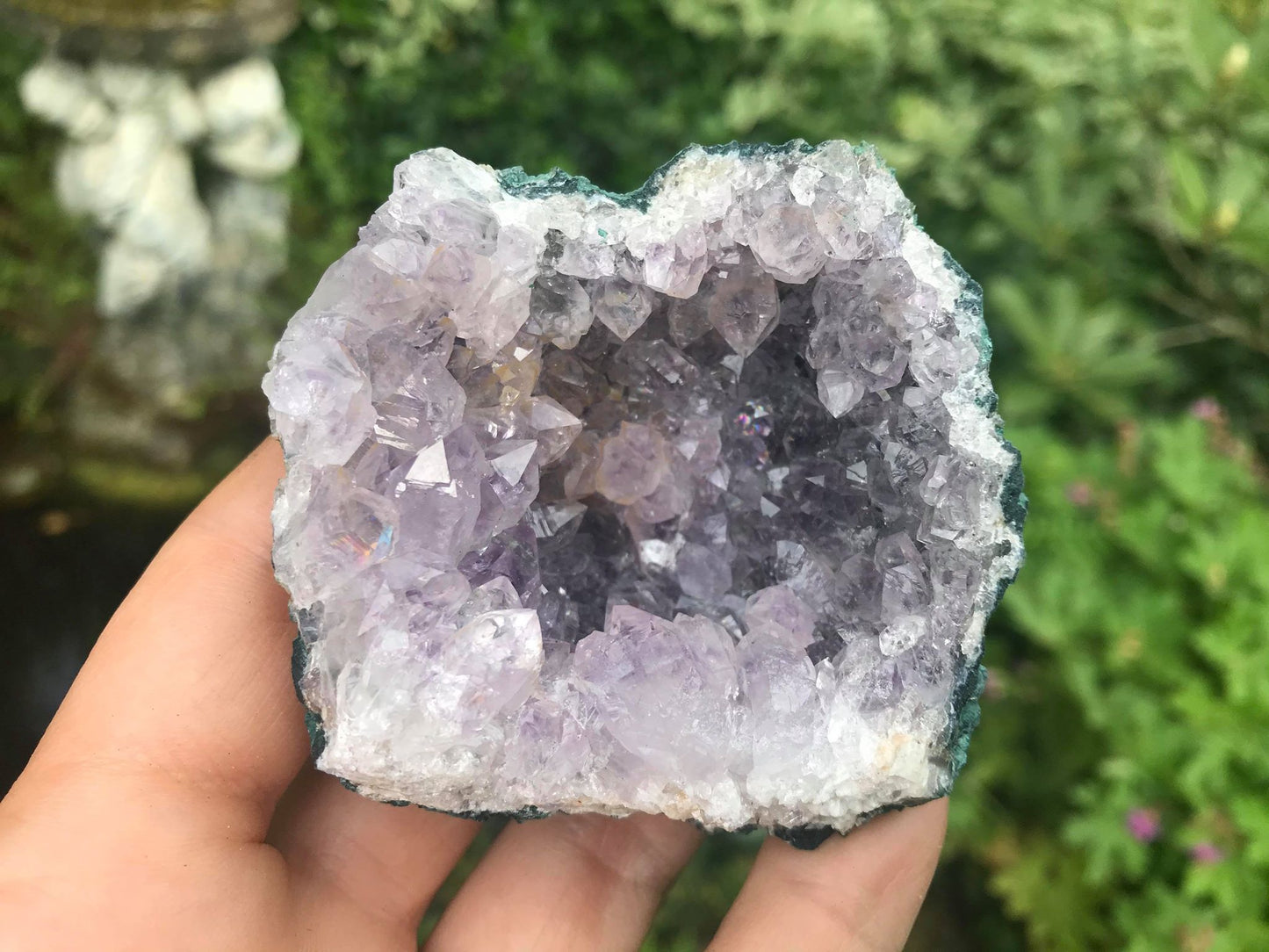 Amethyst Geode ~ Uruguay - Gem Realm 