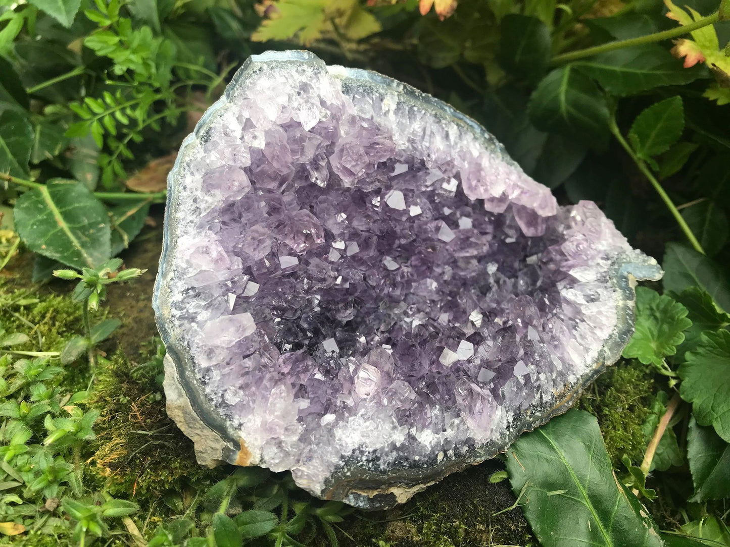 Amethyst Geode ~ Uruguay - Gem Realm 