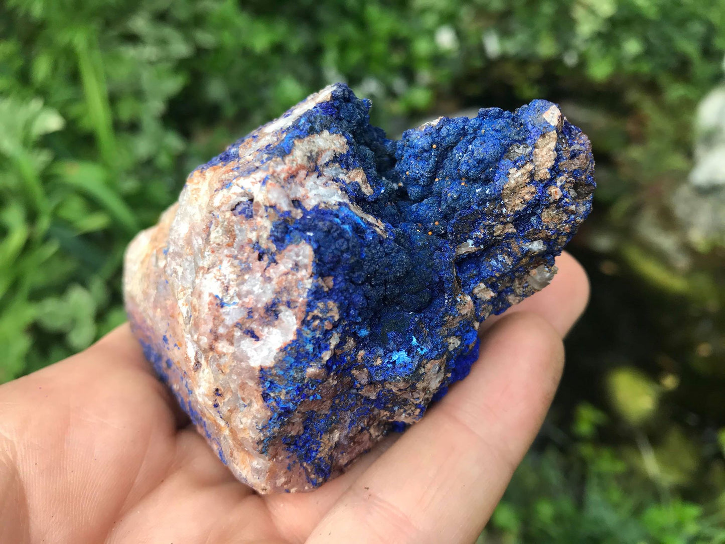 Azurite Specimen - Gem Realm 