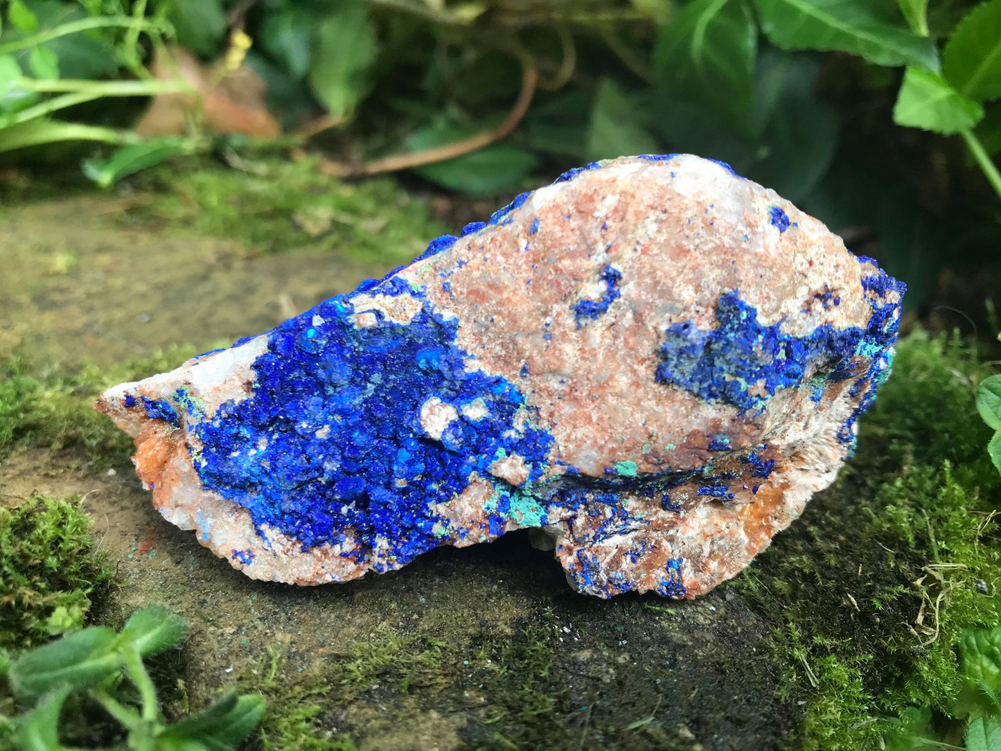 Azurite Specimen - Gem Realm 